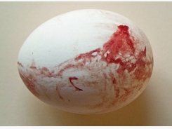 Why is there blood on this egg?