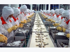 Tightened controls on antibiotic residues for shrimp industry