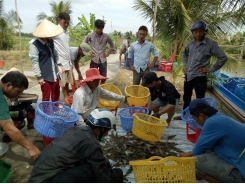 Chuyển giao nhiều mô hình thủy sản hiệu quả