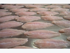 “Whitefish wars” driving Vietnam’s pangasius away from EU, US