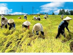Belgium boosts agricultural cooperation with Vietnam
