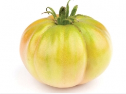 Cropped: Heirloom Tomatoes
