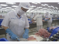 Reasons for Saudi Arabia’s suspension of seafood imports from Vietnam unknown