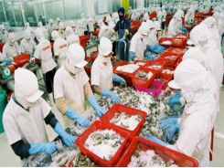 Aquatic product exports target 10 billion USD in 2019