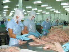 Catfish exports to reach USD2.3bn