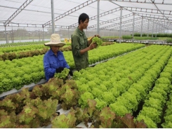 Vietnam works to boost organic farming