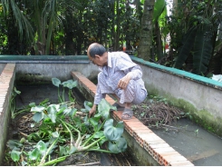 Đồng Tháp: Nuôi lươn trong bể xi măng cho lãi cao