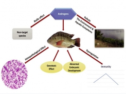 Hormone trong sản xuất cá giống