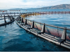 Trung Quốc thử nghiệm các trang trại gió - cá ngoài khơi