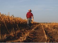 Delayed spring planting hampers US feed crop harvest