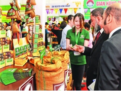Coffee sector wakes up to value of processed, organic brands