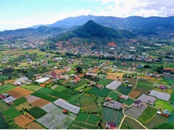 Việt Nam's agriculture sector sets goals for 2020