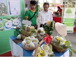 Tây Ninh promotes safe agricultural products, foodstuff in HCM City