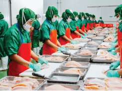 10 thị trường xuất khẩu lớn nhất