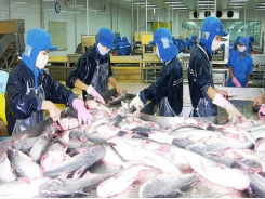 Increasing quality of seafood products for better competitiveness