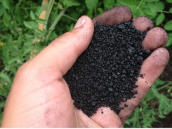 Chất giàu humic bảo vệ mạnh mẽ sự sống của cá