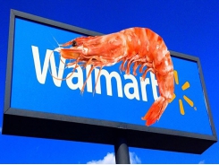Walmart uses blockchain to track Indian shrimp exports to US