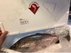 Shinshu Salmon - top thương hiệu cá hồi tại Nhật Bản