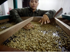 Asia Coffee-Vietnam sees thin trade as farmers not keen to sell at low prices