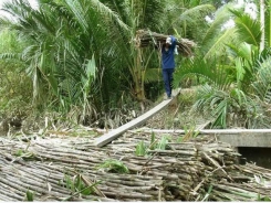 Local sugar firms concerned by reduced import tariffs under ATIGA