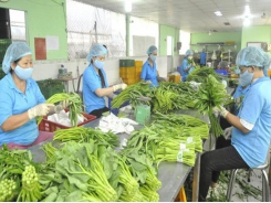 Increasing value for Vietnamese agricultural products