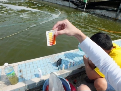 Liệu các men vi sinh có thể giải quyết vấn đề ô nhiễm nước do nuôi trồng thủy sản không?
