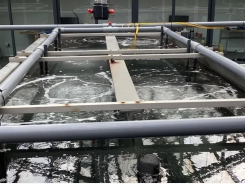 High-five - developing “the world’s first vertical aquaculture farm”