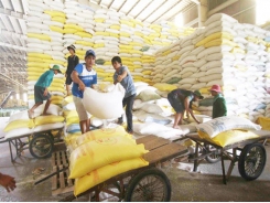Việt Nam needs to promote brand building for rice exports