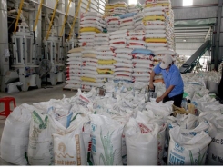 Mekong Delta region asserts Vietnamese rice brand internationally