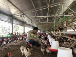 Hoa Binh works to promote key agricultural products