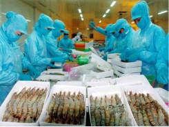 Warning of raw material shortage for seafood factories for the end of 2021