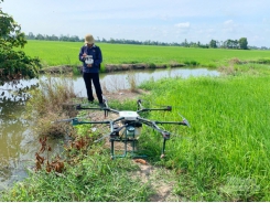 Growing rice with smartphone