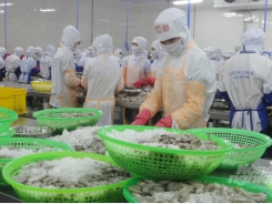 Vietnam’s seafood industry is confident to face challenges