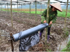 The first province develops a project to tackle plastic pollution in agriculture