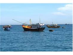 Sẽ Cấm Đánh Bắt Hải Đặc Sản Trên Vùng Biển Bình Thuận