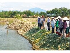 Xây Dựng Tiểu Vùng Nuôi Cá Rô Phi Tập Trung Tại Khu Vực Miền Đông: Hướng Đi Mới Cho Người Nông Dân