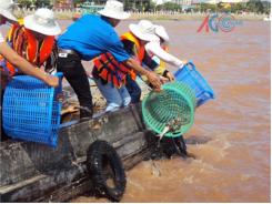 Quyết Tâm “Tái Tạo” Nguồn Lợi Thủy Sản