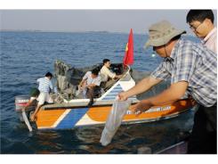 Ninh Thuận Thả 625.000 Tôm Giống Về Biển