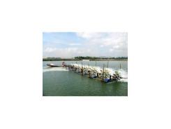 Giun biển lọc nước cho tôm nuôi