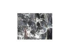 Ương cá lăng nha trên bể lót bạt