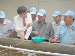 Đem Hết Khả Năng Khai Thác Thế Mạnh Thủy Sản Ở Địa Phương