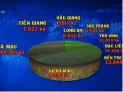 Gần 1 triệu ha lúa ở ĐBSCL bị ảnh hưởng do hạn, mặn