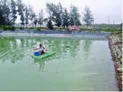 Huyện Hậu Lộc (Thanh Hóa) phấn đấu năm 2016 đạt 36.000 tấn thủy sản trở lên