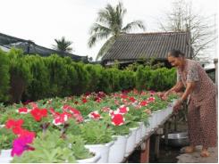 Sản xuất giống, phân bón được vay tới 20 tỷ đồng/năm