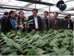 Chương Mỹ loay hoay tìm vốn đầu tư nông thôn mới