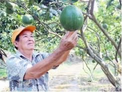 Lão nông tỷ phú làm giàu ở tuổi cổ lai hy