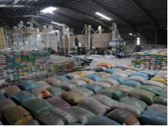 Xuất khẩu gạo trong tháng 2 vượt kế hoạch 400.000 tấn
