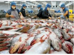 Trade barriers may seriously affect Vietnam’s seafood industry