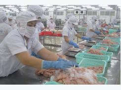 China seen becoming Vietnam's largest tra fish importer