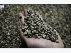 Vietnam’s coffee prices hit highest since late 2011 on lack of good beans